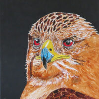 Ce guetteur fait peser son "regard de feu" avec une grande intensité. Tableau de format 46 X 55 cm en techniques mixtes.