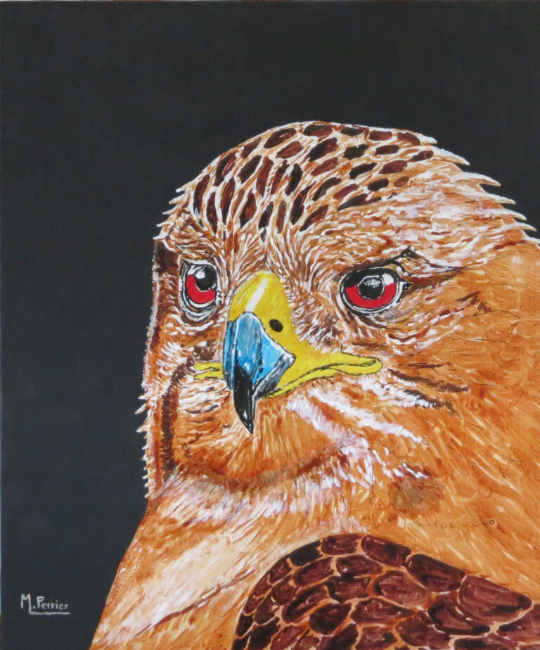 Ce guetteur fait peser son "regard de feu" avec une grande intensité. Tableau de format 46 X 55 cm en techniques mixtes.