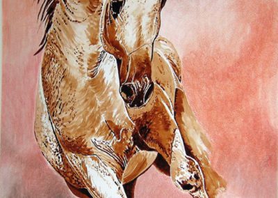Cheval fougueux