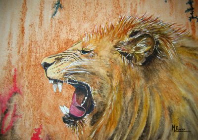 Lion (s)